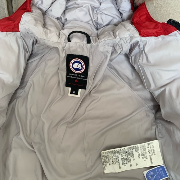 Canada Goose Baby down with fur - Picture 3 of 8